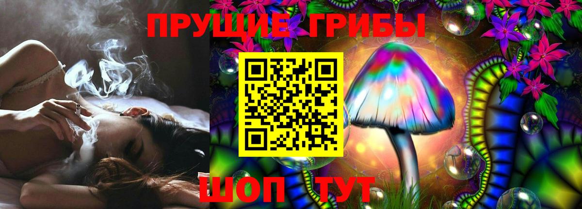 Армавир  Псилоцибиновые грибы Cubensis  где купить наркотик  Вход с VPN 